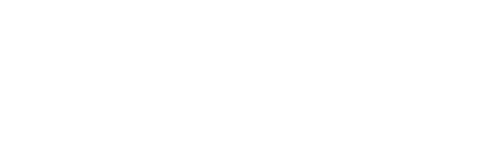 digMARKETING